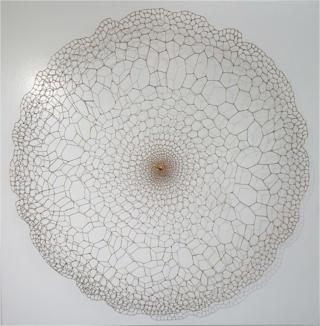Seed(한국, 런던, 홍콩, 싱가폴, 시드니 등에 컬렉션됨)