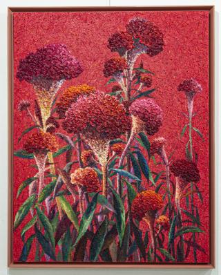 cockscomb-red2 - 김숙