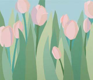 tulip - 박노을