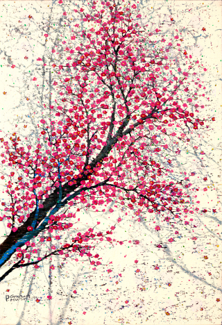 In full bloom