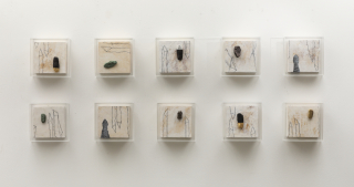 부드러운 집(각)