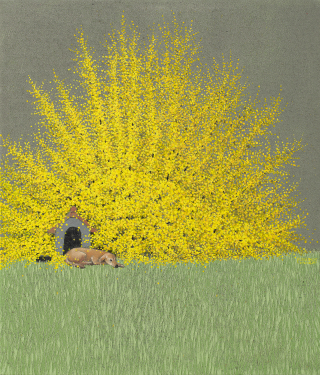 In full bloom M250420