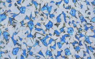 Flame-Embracing Nature no,2303-4