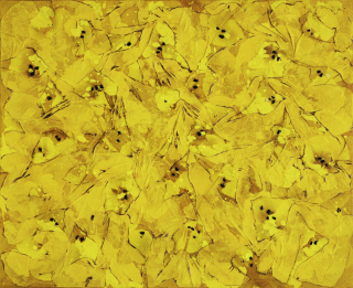 FIRE-CREATION no,2401.5-1