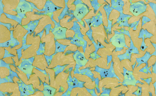 Flame-Embracing Nature no,2302-1