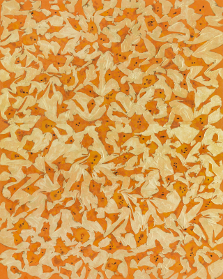 Flame-Embracing Nature no,2310-3