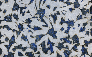 Flame-Embracing Nature no,2303-1