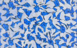 Flame-Embracing Nature no,2303-3