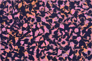 Flame-Embracing Nature no,2208-3