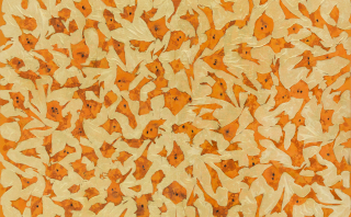 Flame-Embracing Nature no,2308-2