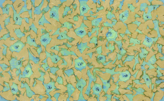 Flame-Embracing Nature no,2306-7