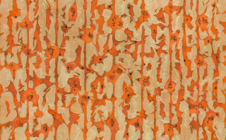 Flame-Embracing Nature no,2306-2