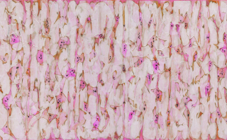 Flame-Embracing Nature no,2308-4