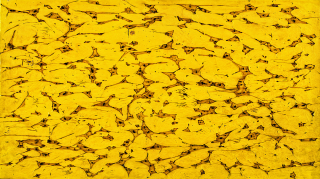 Life of Flame No.1902-1