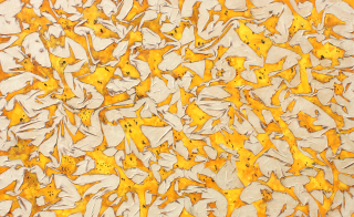 Life of Flame No.1908-10