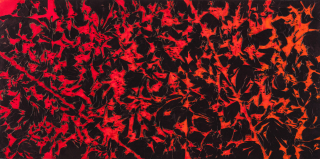 Life of Flame No.1912-11