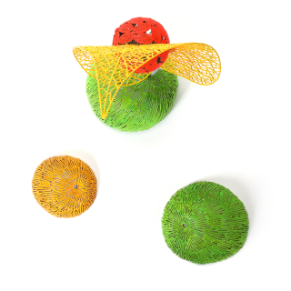 사랑나무(가변 구성)