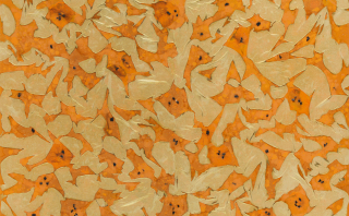 Flame-Embracing Nature no,2303-2