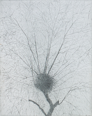 Big coexistence tree