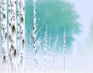 birch-white soul. NO 23-16