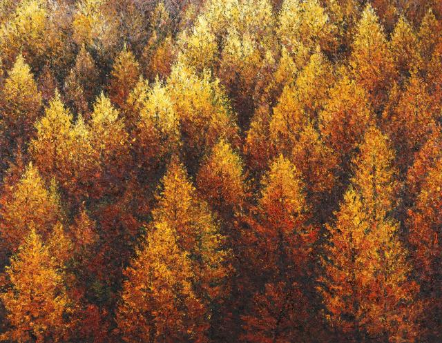 Healing Forest-가을 물들다