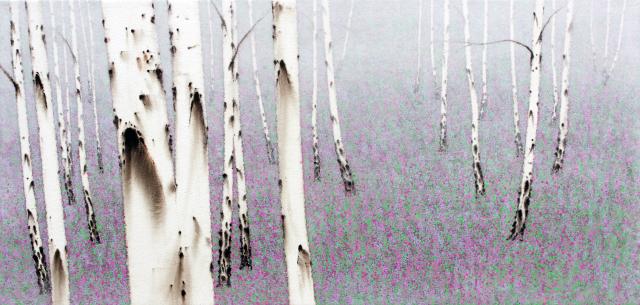  birch-white soul. NO19-72