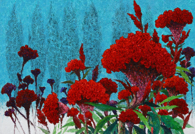 cockscomb