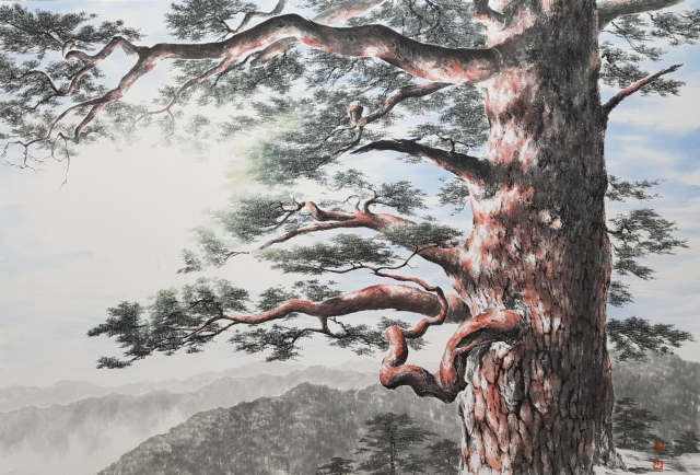 Pine Tree-올려보기