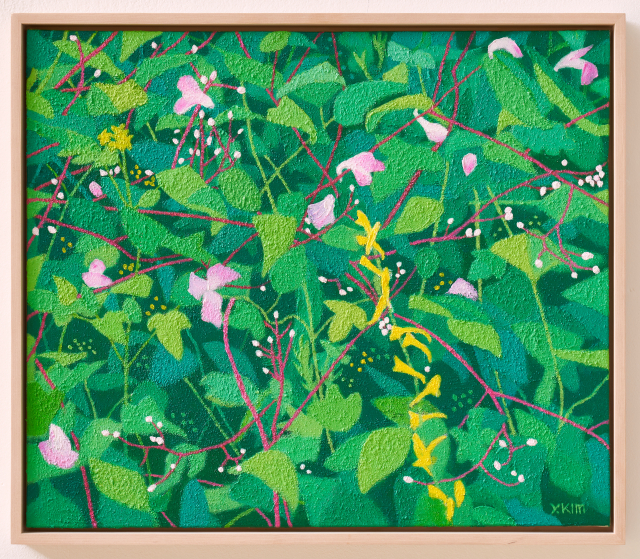 흐르는 산-백두대간 야생화