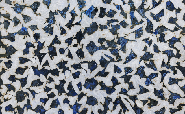 Flame-Embracing Nature no,2306-6