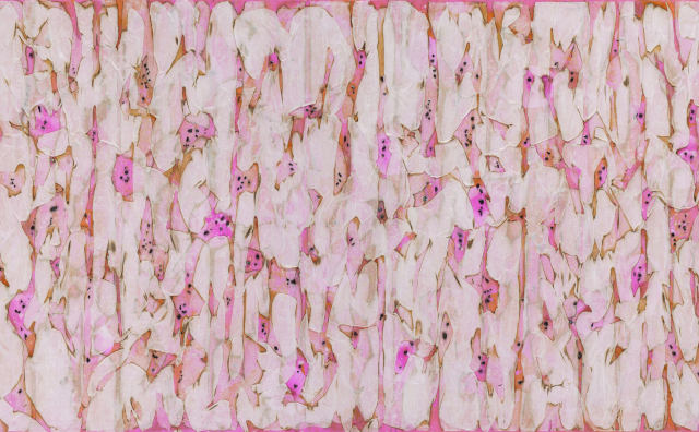 Flame-Embracing Nature no,2308-4