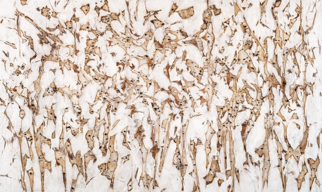 Life of Flame No.1905-1