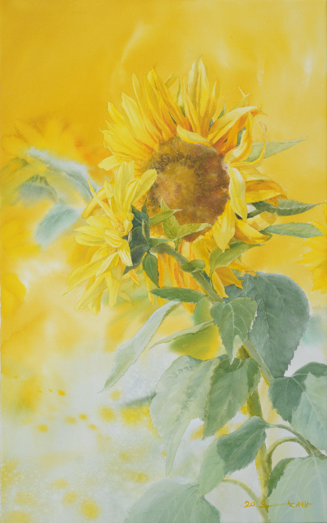 사랑 그리고 행복